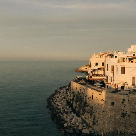 Tra Cielo E Mare 호텔 비에스테 외부 사진